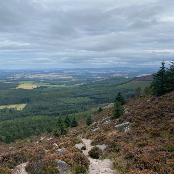 Bennachie top