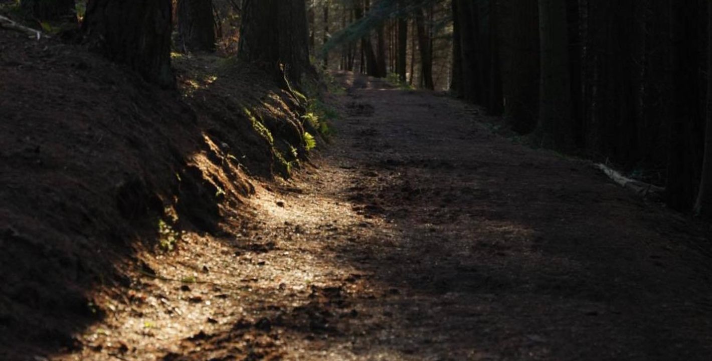 Fit tae dee woodland